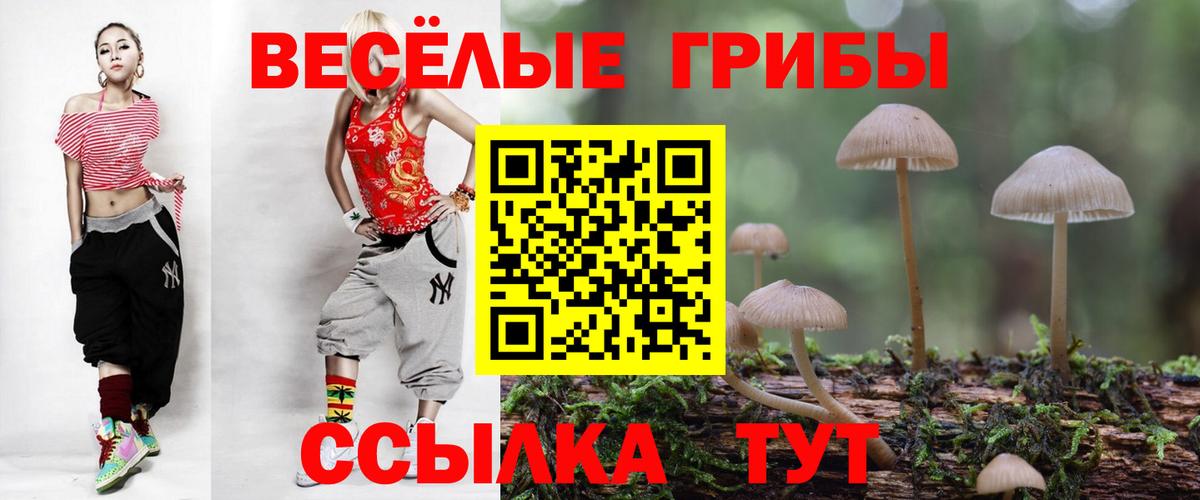 Псилоцибиновые грибы Magic Shrooms Самара